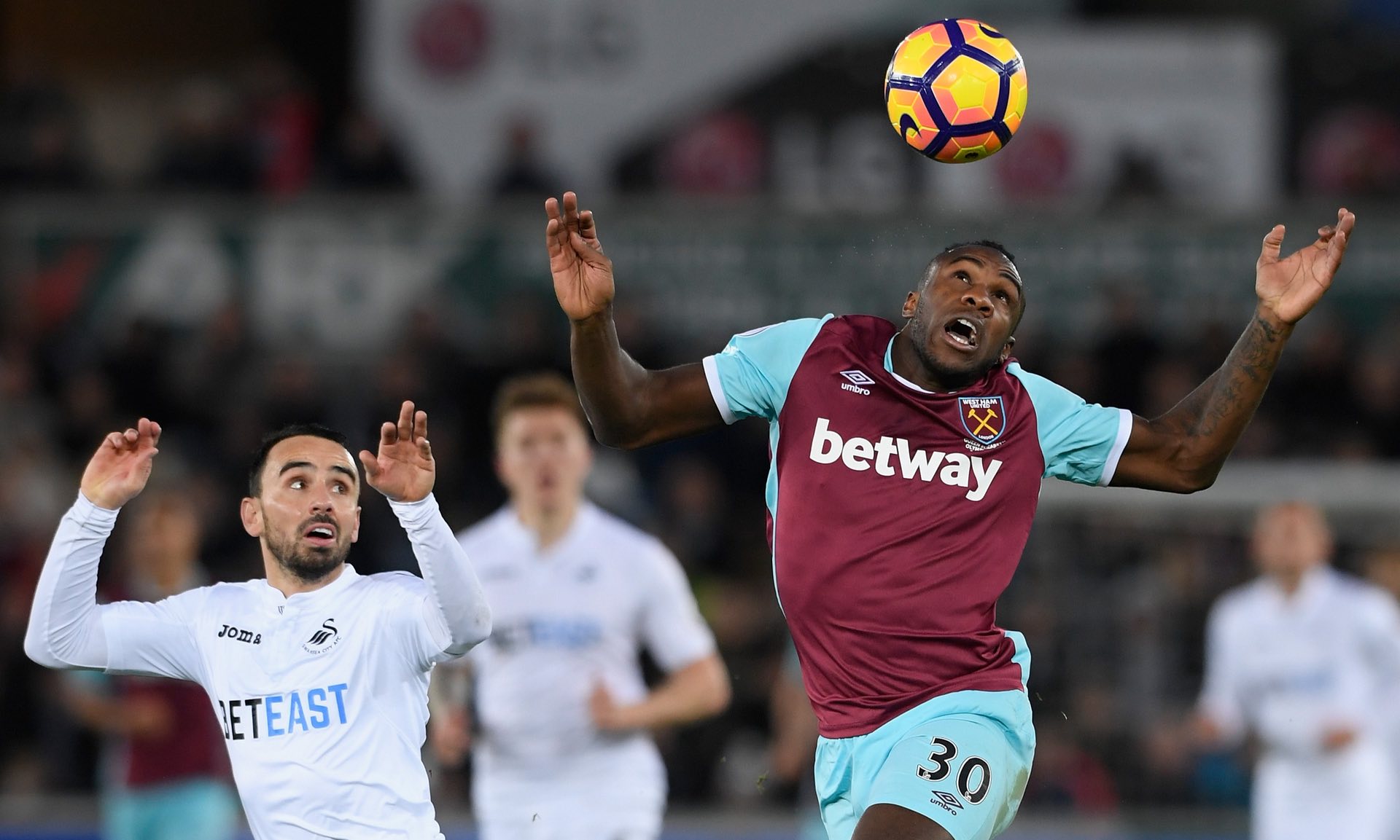 提供了丰富 提供了丰富